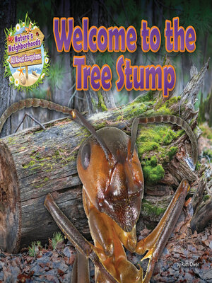 cover image of Welcome to the Tree Stump